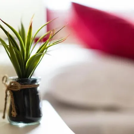 Appartement Casa Verena